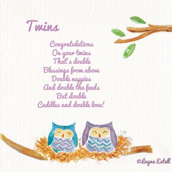 swbr07twins1 swbr07twins1